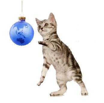 International pet relocation.jpg
