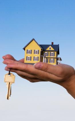 interstate furniture removalists